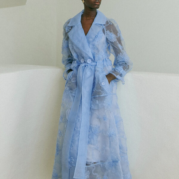 aje dress
